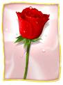 pour tous les amoureux